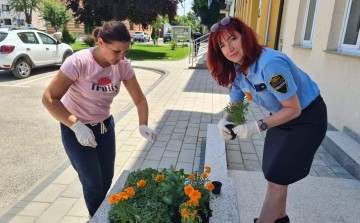 Policijske službenice zasadile cvijeće narandžaste boje kao znak solidarnosti sa ženama i djevojčicama žrtvama nasilja